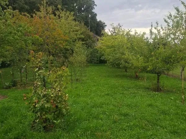 Terrain 1148 m² Fussy