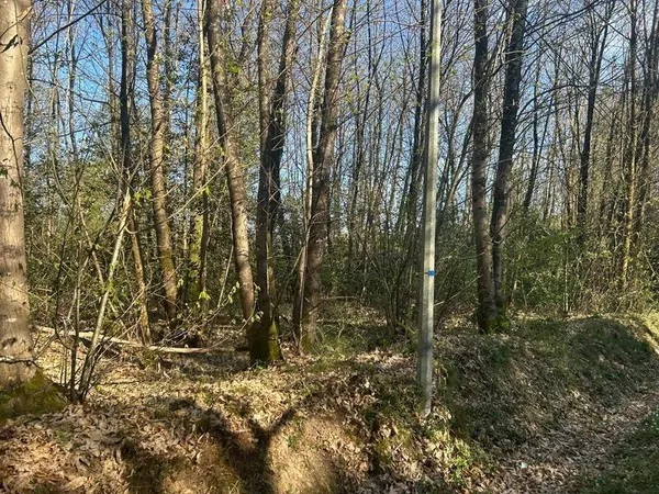 Propriété de loisirs 16366 m²
