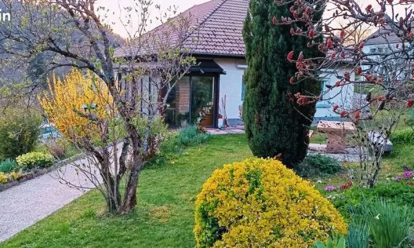 Maison familiale 5 pièces 163 m2 terrain 1325m