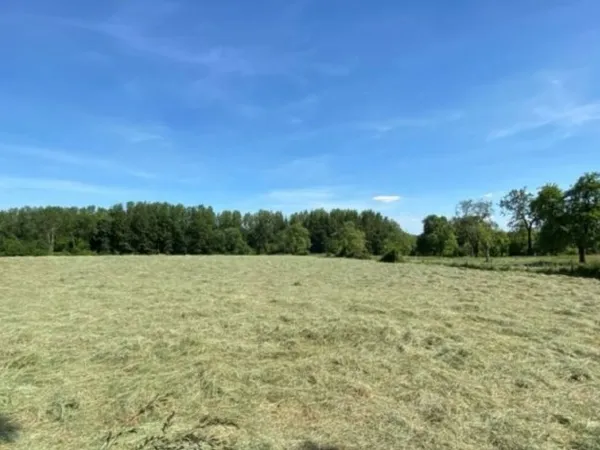 Terrain 700 m²