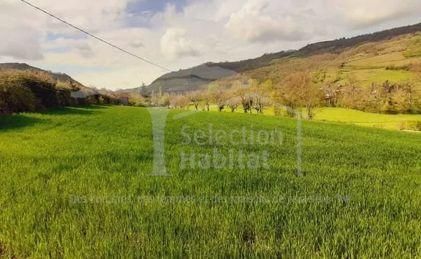 Terrain constructible