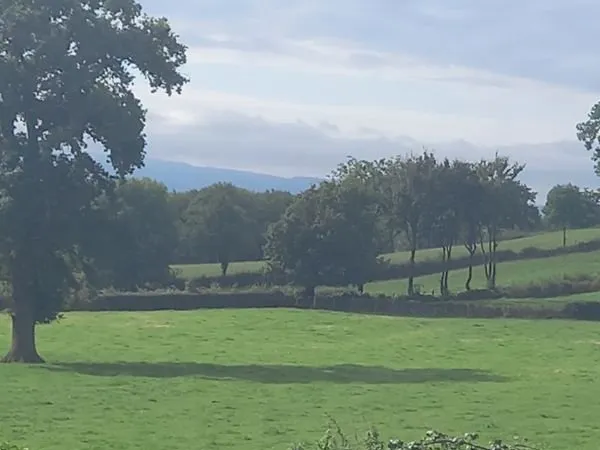 Location appartement saint symphorien des bois