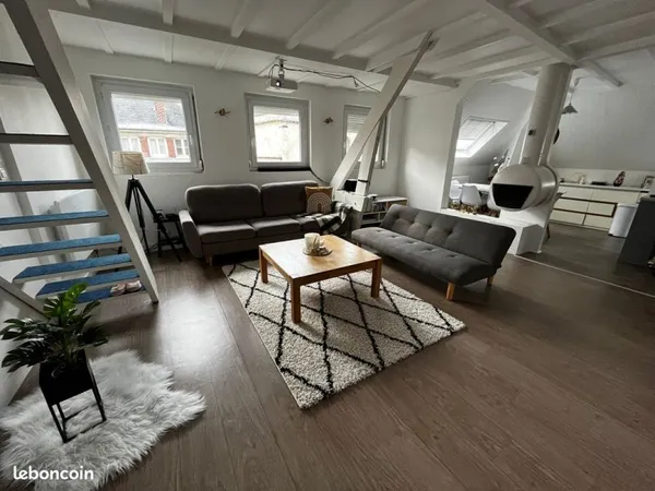 Loue F3 Duplex- Hyper Centre
