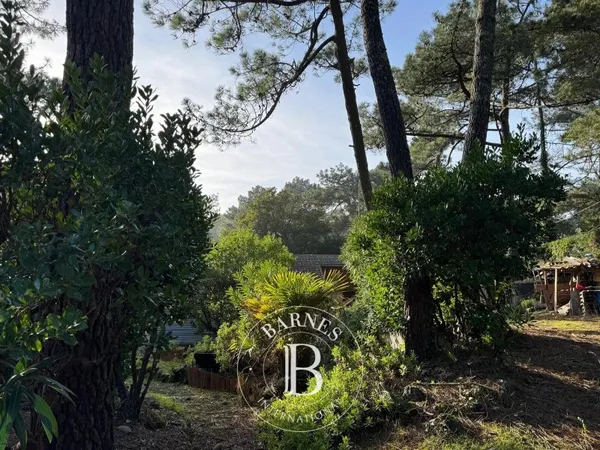 VILLA À RÉNOVER SITUÉE DANS LE TRIANGLE D'OR DU CAP FERRET