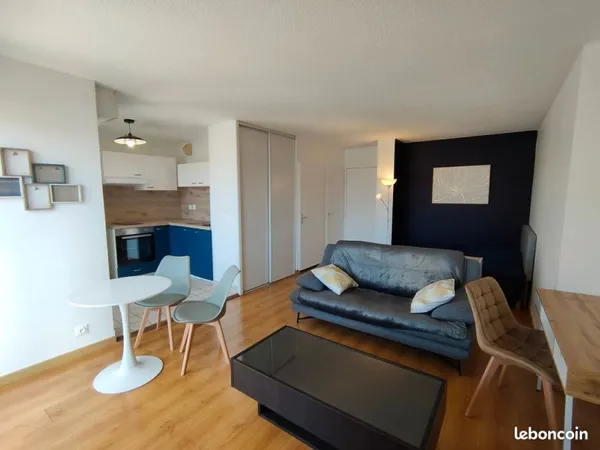 LOCATION 32m2 RENOVE A NEUF VUE SUR LES MONTAGES