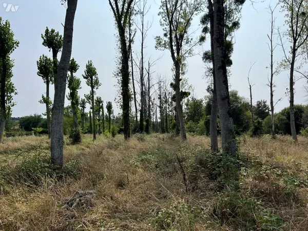 Terrain 9636 m²