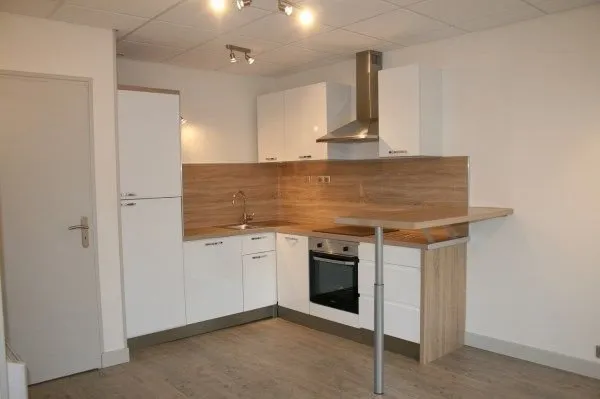 Bel appartement T2 avec terrasse et jardinet