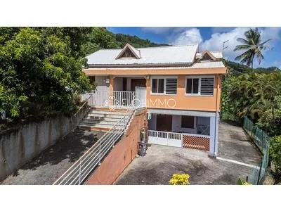 VIDÉO - Ens. immobilier de 300 m² (T6+T3+T2)