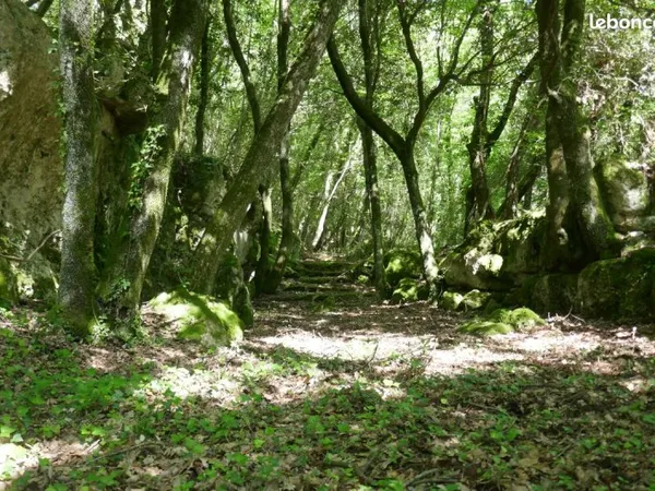 Terrain agricole et de loisirs