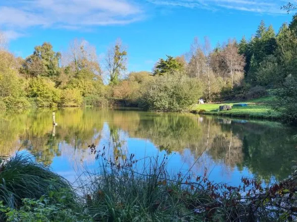 MORBIHAN, Ménéac,1,2 hectare avec étang de 2 300 m², Calme et nature au coeur de la Bretagne