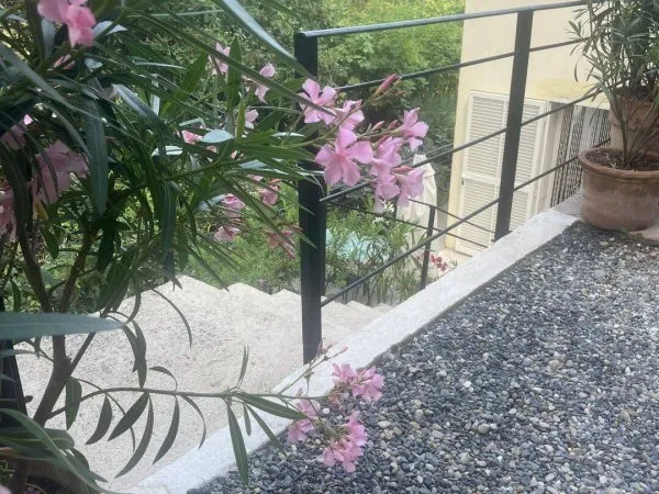 Appartement 1 pièce 32 m²