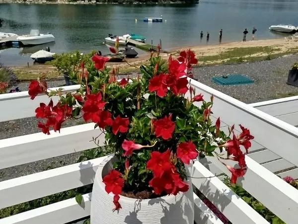 Mobilhome au bord du lac de pareloup
