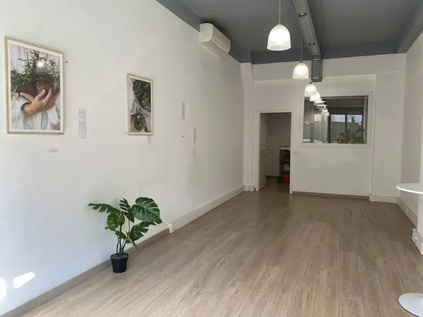 Local commercial République Delfino 45m2 + Cave 3m2