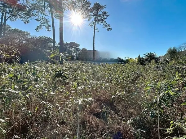 Terrain 1026 m²