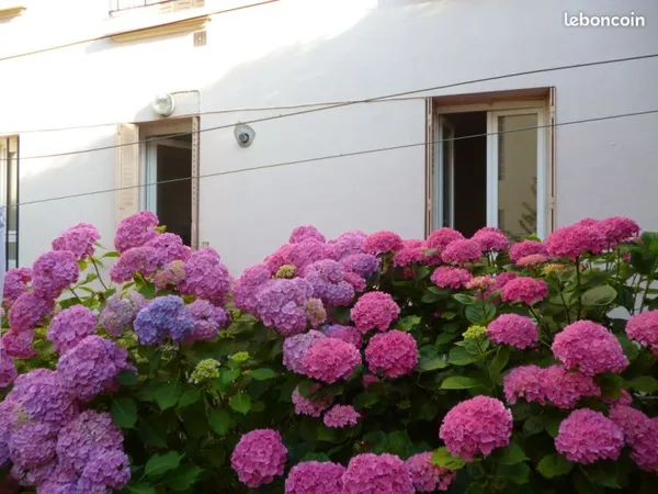 Appartement 1 pièce 24 m²