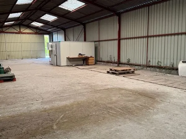 Local d’activité et entrepôt Vente Chécy 1p 258m² 183200€