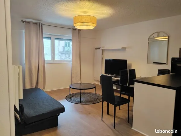 Appartement T2 meublé entièrement rénové à louer, idéal interne ou étudiant en médecine - Strasbourg