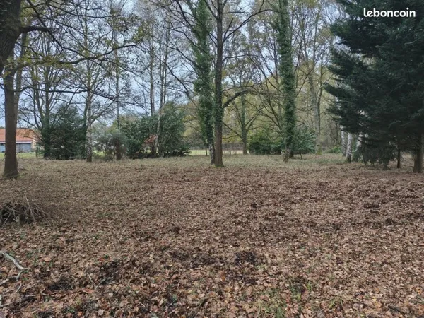 Terrain 7659 m² Mulsanne