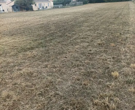Terrain constructible St GENIS de Saintonge