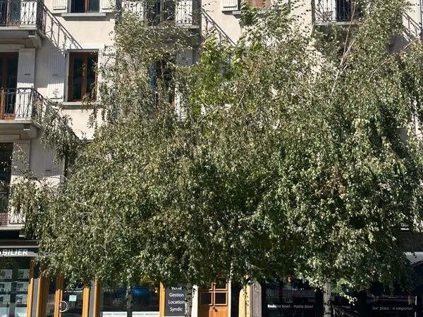 💼 Investissement locatif - T3 64m² loué - 6% de rentabilité - Modane