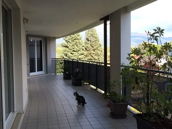Immobilier appartement