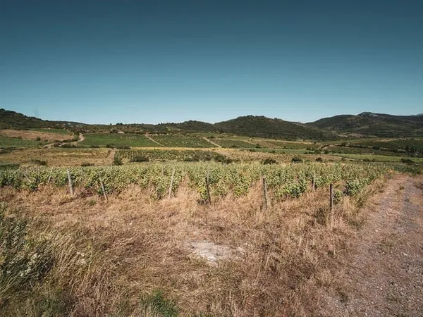 Terrain 140000 m²