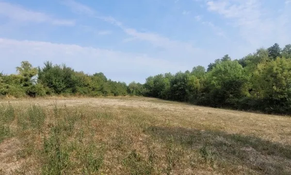 Terrain en individuel 3611 m²