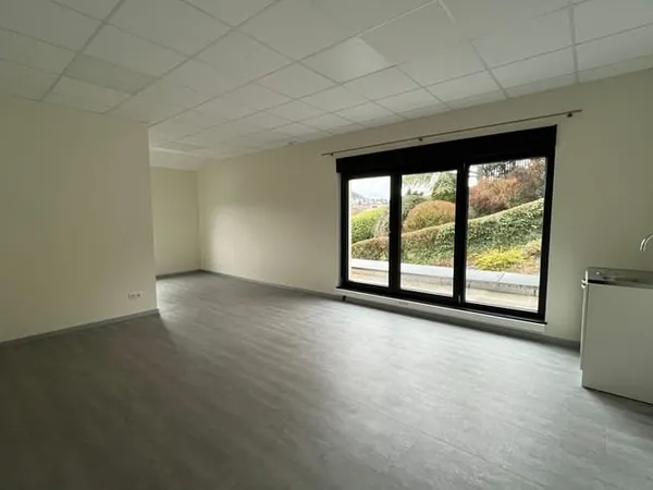Local professionnel 48 m²