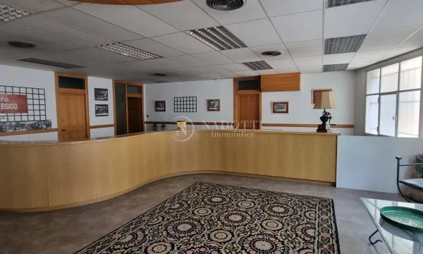 Local professionnel 172 m²