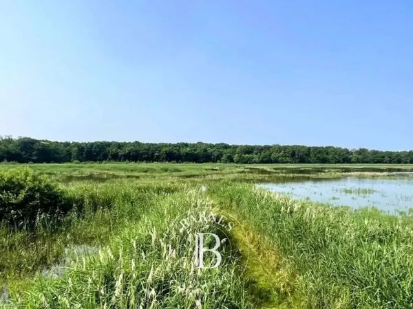 Ain - Propriété de chasse dans la Dombes