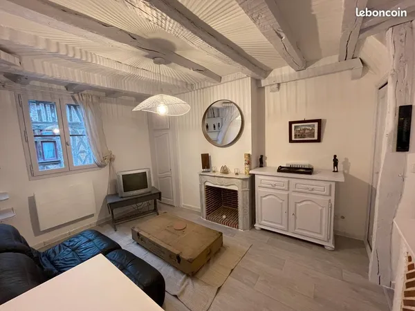 Charmant appartement de 3 pièces meublé - centre ville d'Orleans