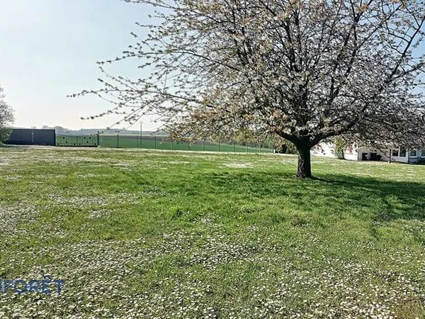 Terrain Ognes 981 m2