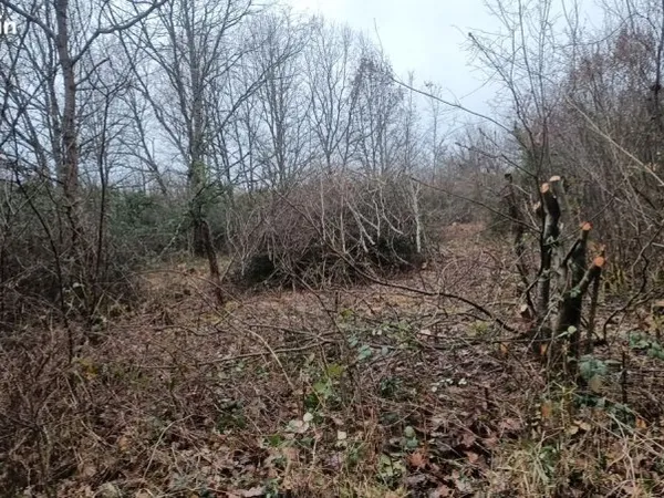 Vend terrain agricole