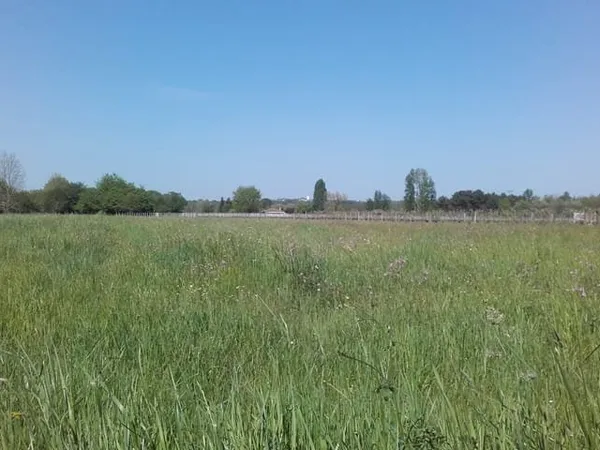 Et si votre future maison commençait ici ?