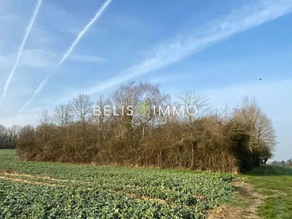 PARCELLE DE BOIS - AMBOISE 2290 M²