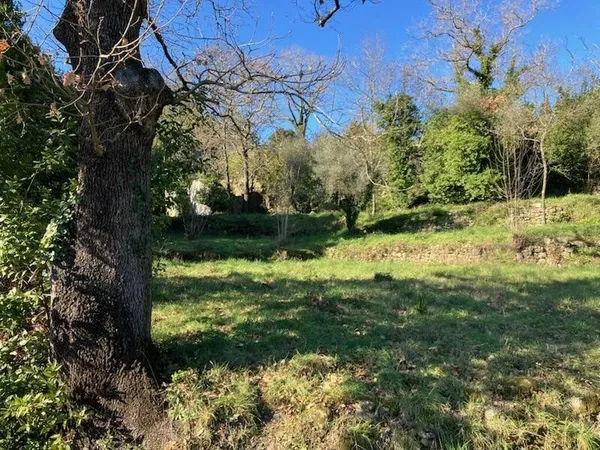 Terrain constructible 1619 m²