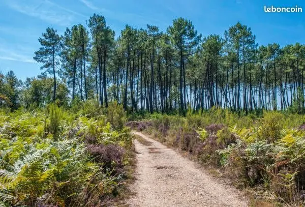 Location terrain nature & forestier