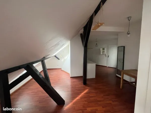 JOLI LOFT, 24 m2, 69 rue du Faubourg de Pierre, 67000 STRASBOURG