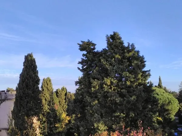 Rare grand T3 de 70 M2 rénové aucun vis a vis
