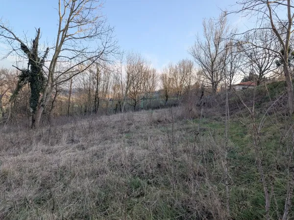 Terrain en individuel 1690 m²