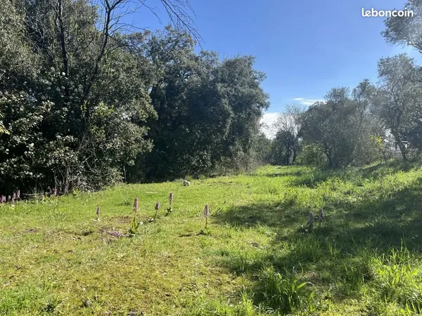 Terrain 800 m² Saint Maximin La Sainte Baume