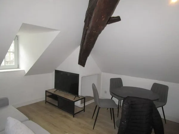TYPE 1 MEUBLE - 15 m2 - HYPER-CENTRE/GRANGIER