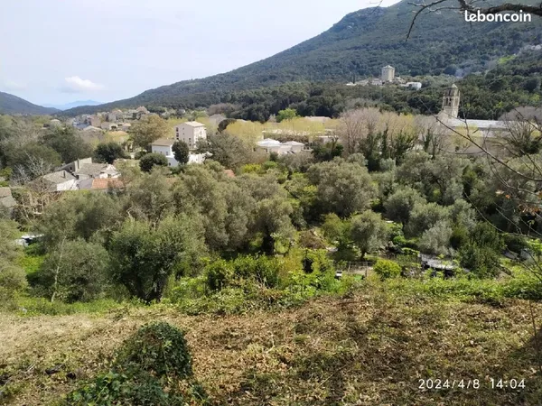 Magnifique terrain avec vue panoramique sur le centre du village de Luri et aperçu mer, avec CUO pos