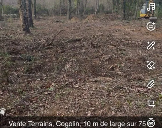 Terrains cogolin