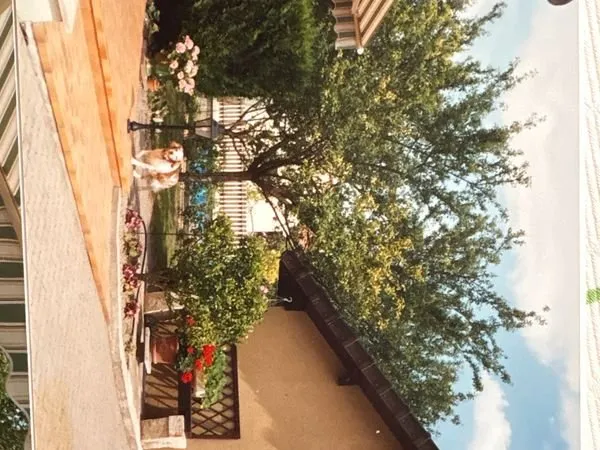 Maison coup coeur