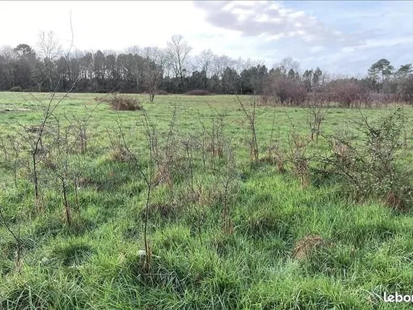Terrain 1 012 m² Leognan