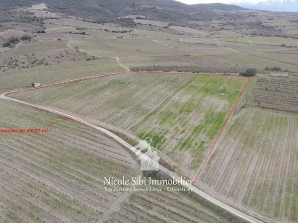 Vente terrain agricole