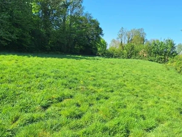 Terrain en individuel 1204 m²