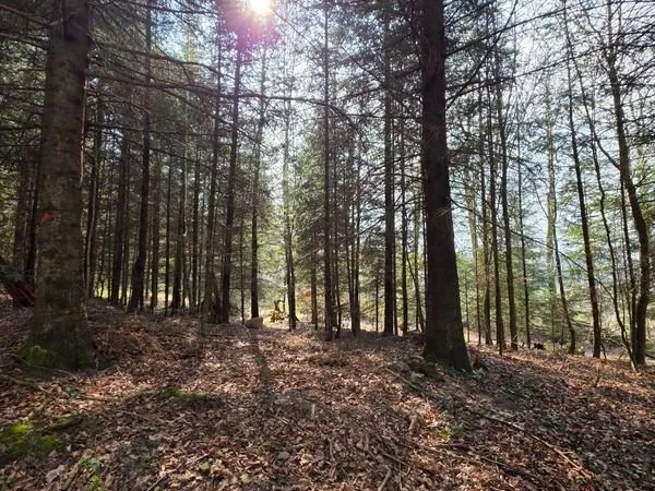 Maison 7 pièces de 200 m2 Campagne proche de Saverne près de la foret