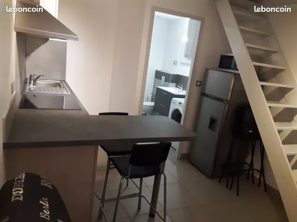 T1 duplex meublé refait à neuf